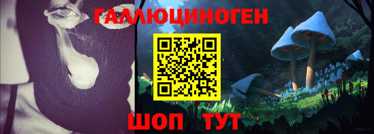 Псилоцибиновые грибы мухоморы Приморско-Ахтарск