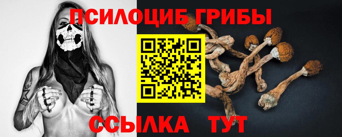 Псилоцибиновые грибы мицелий  Галлюциногенные грибы MAGIC MUSHROOMS  Приморско-Ахтарск  Вход с VPN 